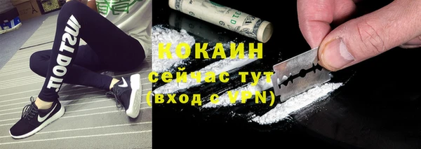 стафф Арсеньев