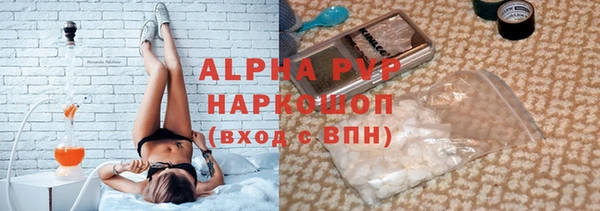 стафф Арсеньев