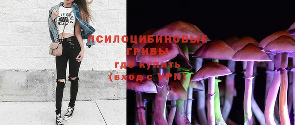 стафф Арсеньев