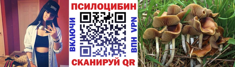 Псилоцибиновые грибы Psilocybe  ОМГ ОМГ ONION  Рославль 